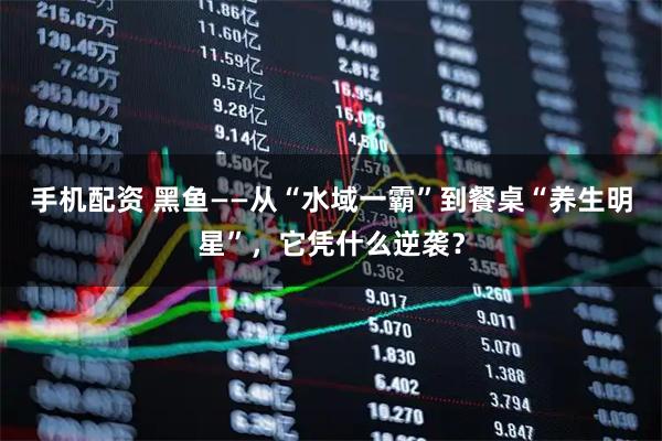 手机配资 黑鱼——从“水域一霸”到餐桌“养生明星”，它凭什么逆袭？
